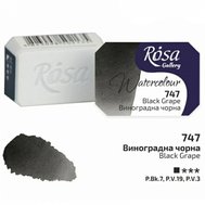 akvarel farba 2,5 ml ROSA Gallery 747 black grape