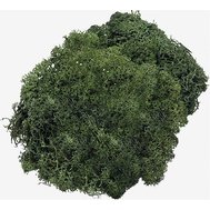 mach islandský 250g fir green